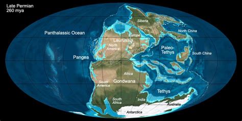 The Cretaceous Period: What was Earth like before dinosaurs went.